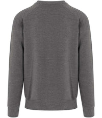 Premium Heavy Sweatshirt
